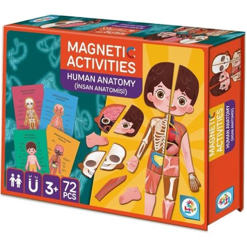 Manyetik Aktivite Insan Anatomisi-Ekransız Zeka Geliştirici Oyun